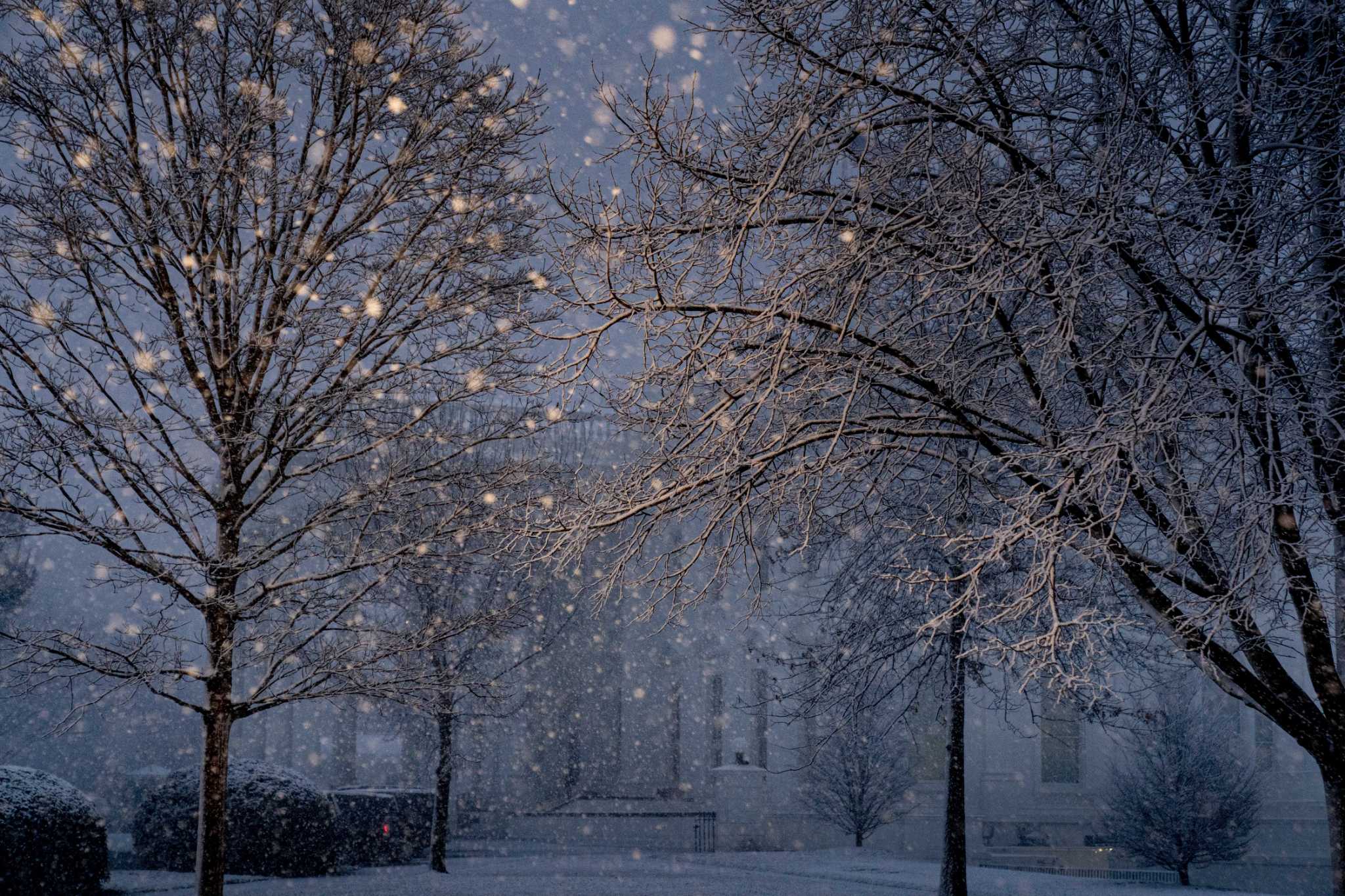 School, work, travel can wait as snow blankets U.S. capital - Vimarsana News