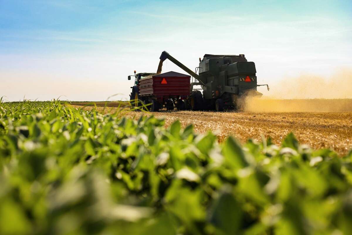 A modern combine harvester is pictured working in a wheat field. Certain crops will be grown with less consistent yields, but those changes can also represent an opportunity for farmers willing to take advantage of the new conditions, experts say.