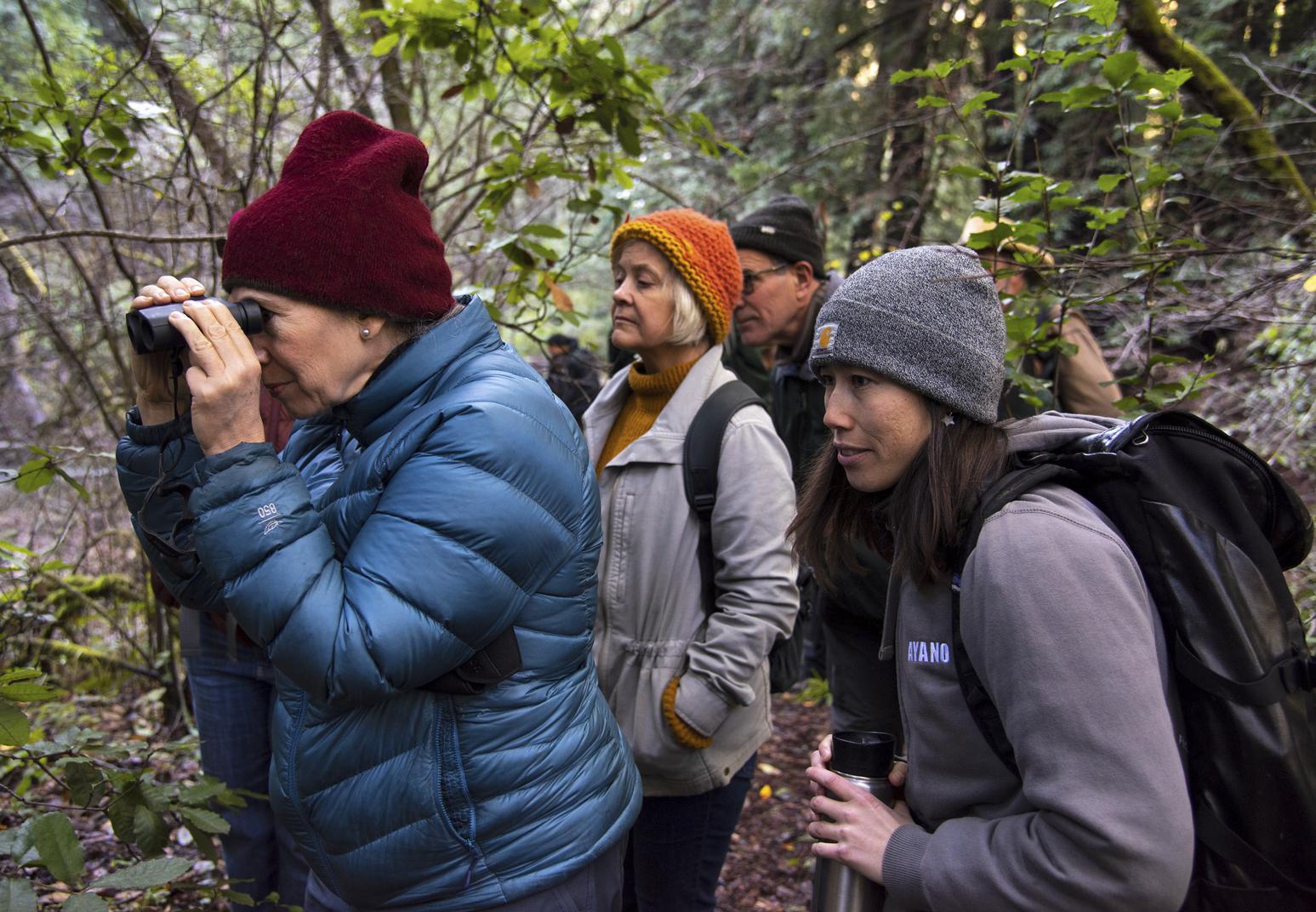 'A good year' to see coho salmon make their annual return to Marin creeks - Vimarsana News