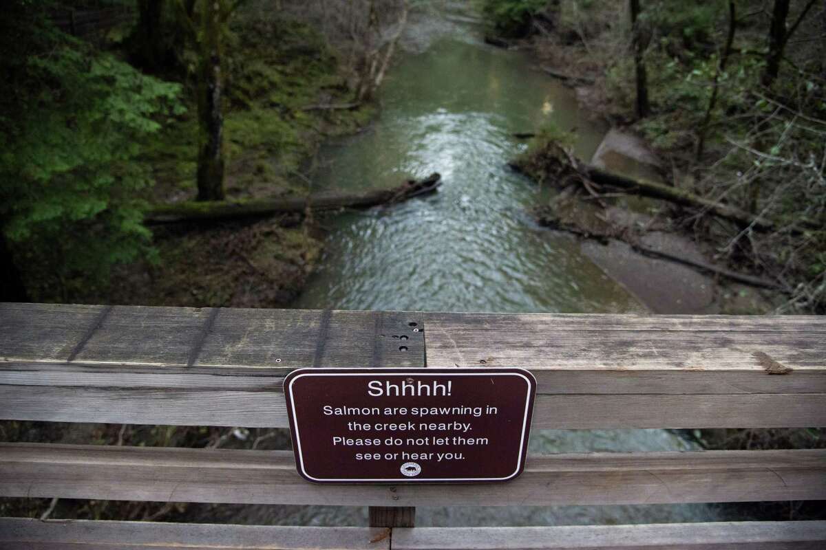在拉古尼塔斯的塞缪尔·p·泰勒州立公园里，一个警示标志贴在拉古尼塔斯溪上的一座桥上，提醒游客鲑鱼在拉古尼塔斯溪产卵。