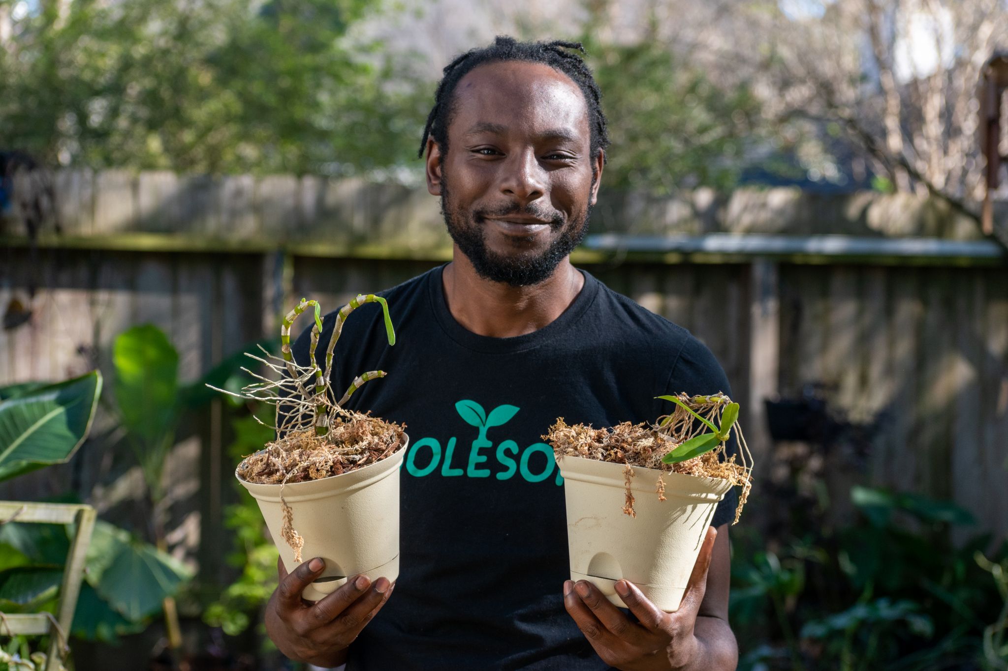 After pandemic boom, Houston plant collectors face the dark side of their obsession - Vimarsana News