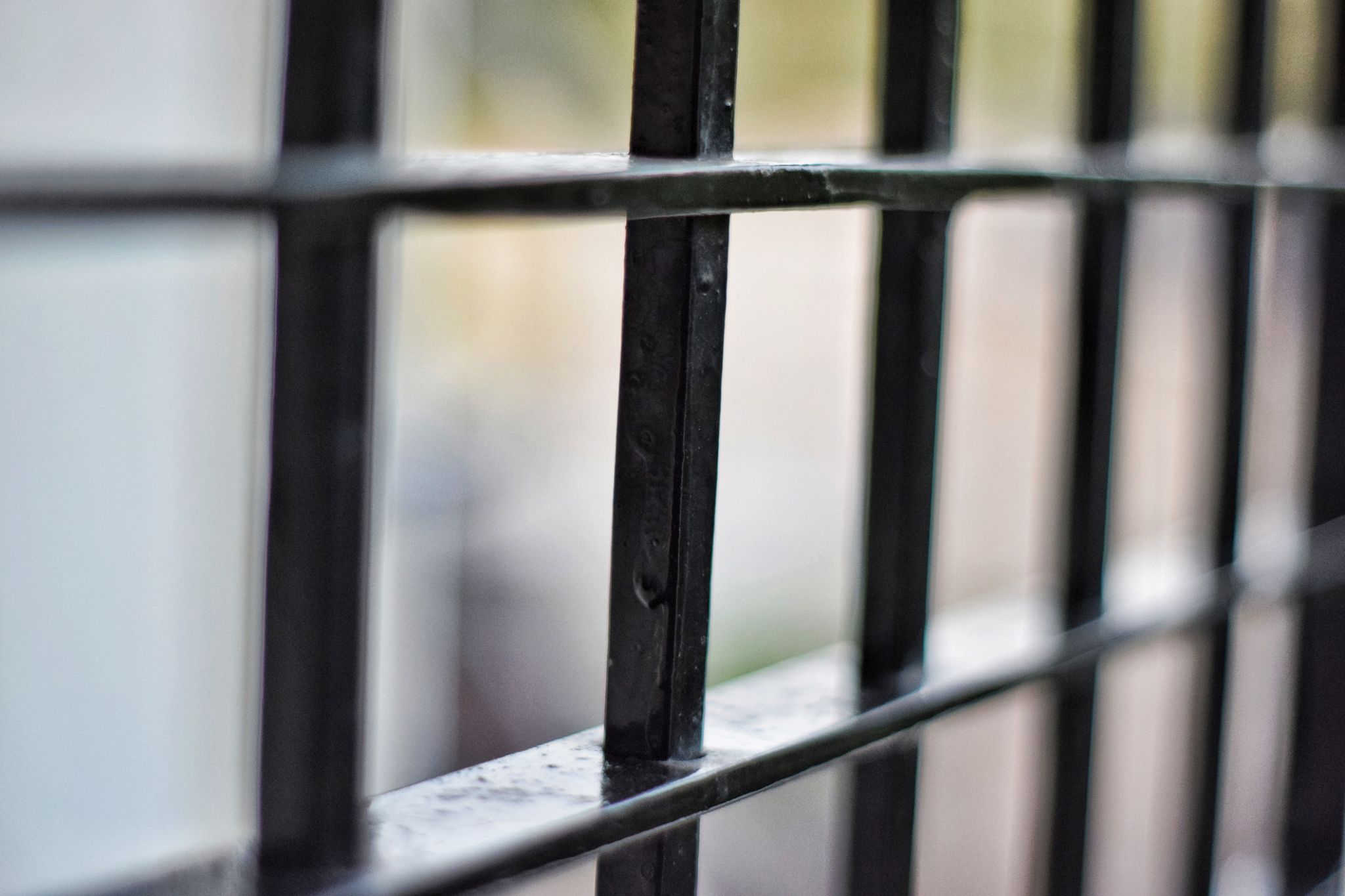 Man takes plea for running a criminal enterprise in Mecosta County - Vimarsana News