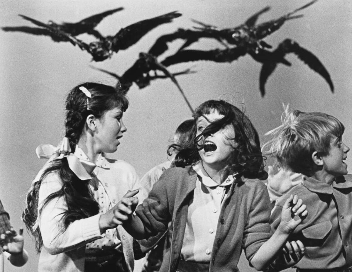 Crows chasing school children in Alfred Hitchcock’s “The Birds.”