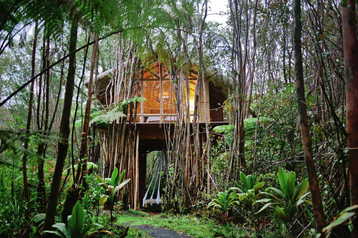 The Dreamy Tropical Tree House is located in the town of Fern Forest on the Island of Hawaii. Tree houses have become a growing trend on the island.