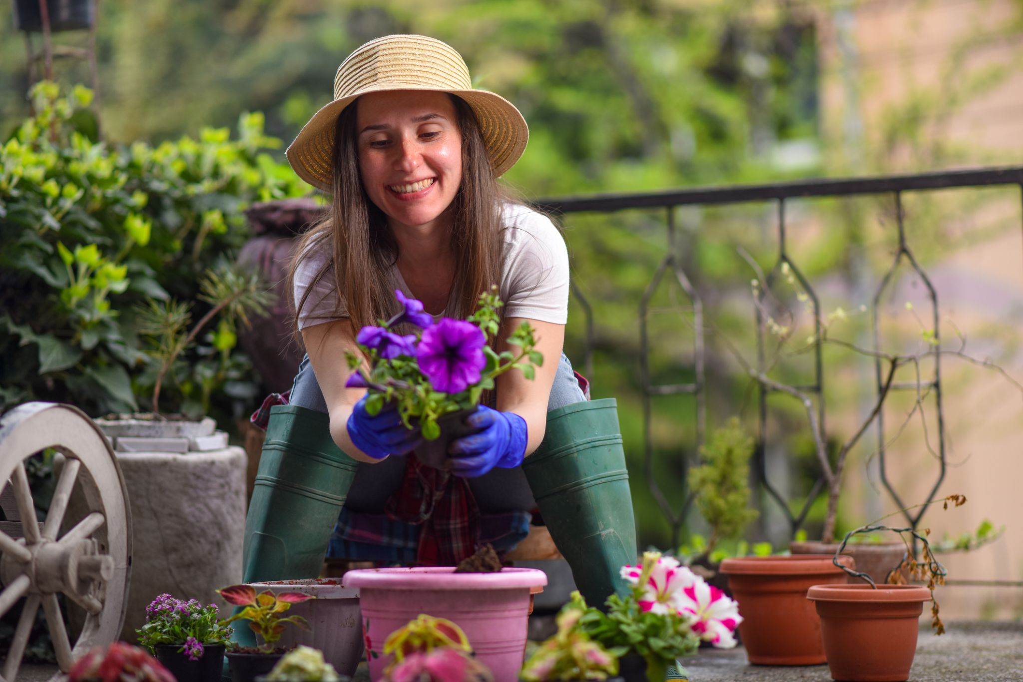 New plants to try in new year - Vimarsana News