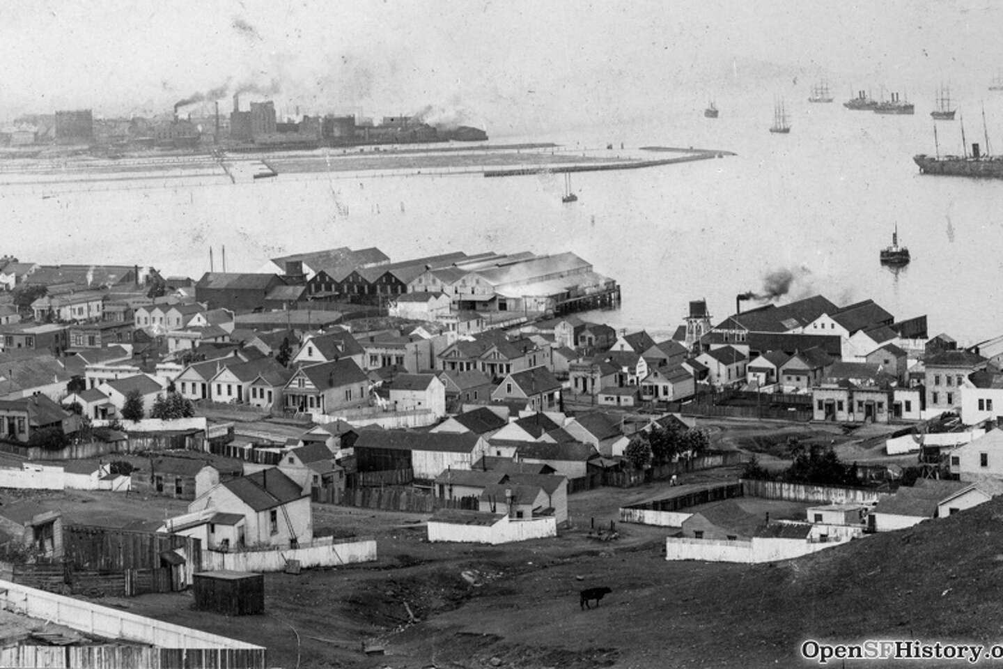 SF's forgotten slaughterhouse district was in the Bayview