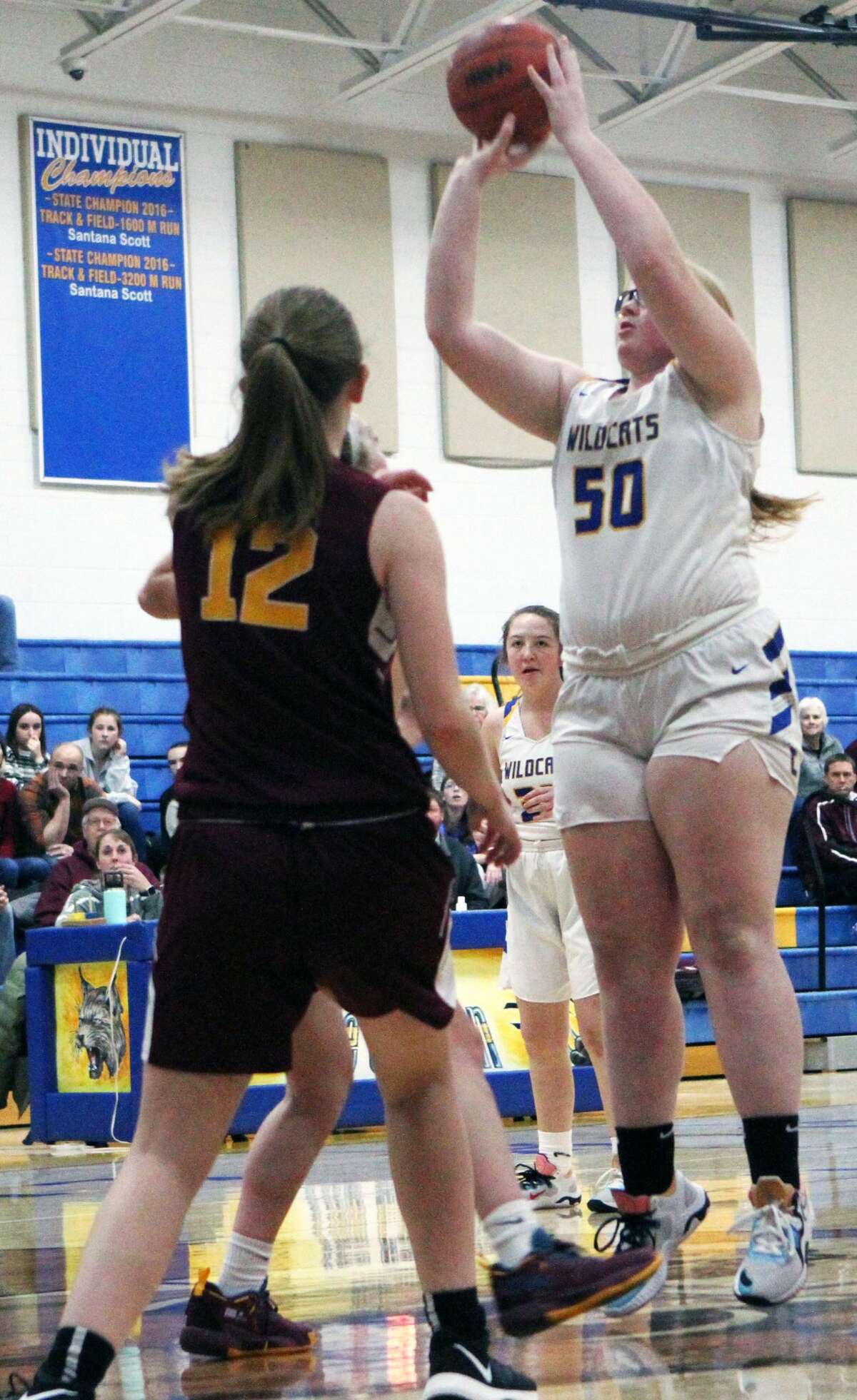 The Evart girls basketball team was dealt a 50-33 loss at the hands of McBain NMC Christian on Thursday evening. Junior Addy Gray paced the Wildcats with 14 points. 
