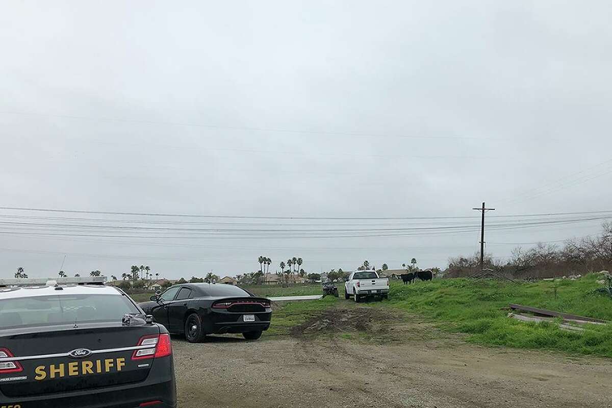Contra Costa County sheriff’s deputies responded to a ranch in rural Contra Costa County Thursday, January 6, 2022 after a bull appeared to have killed a man. Deputies fatally shot the bull after it threatened first responders, officials said.