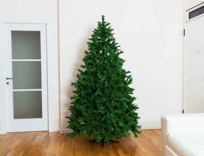 Commentary: Robin writes by Robin Garrison Leach — And just like that, Christmas was un-decorated - Vimarsana News