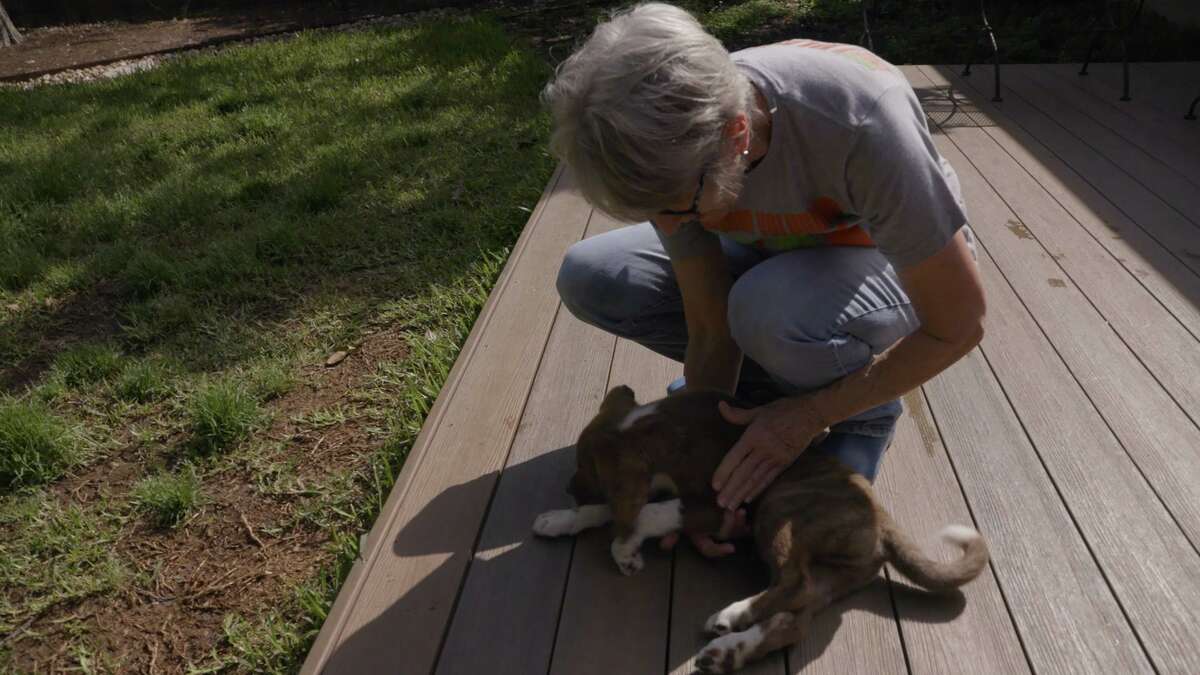 A frame from the trailer for the documentary Rescue Dogs shows dog foster Pamela Martin with one of the eight dogs she was fostering at the time of the making of the trailer.
