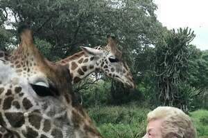 Jean Cherni at Giraffe Manor in Kenya.