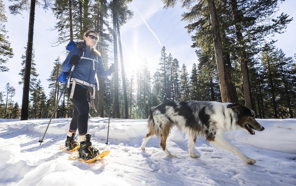 Parking pile-ups and lost hikers: Tahoe's Sno-Parks feel the squeeze of visitors - Vimarsana News
