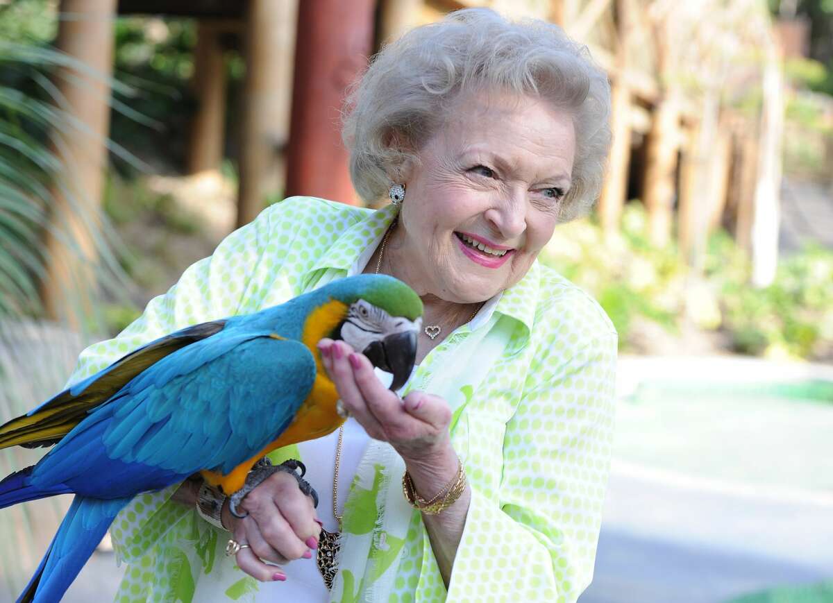 The 'Betty White Challenge' circulating on social media invites fans to donate $5 to their local animal shelter in her memory.