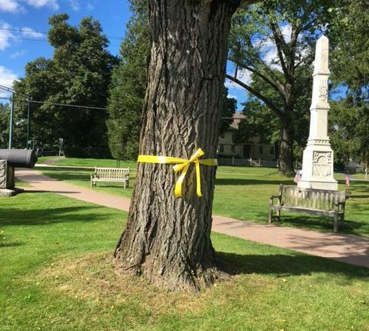 The debate over the yellow ribbons affixed to trees on the Litchfield town green will continue on Tuesday.