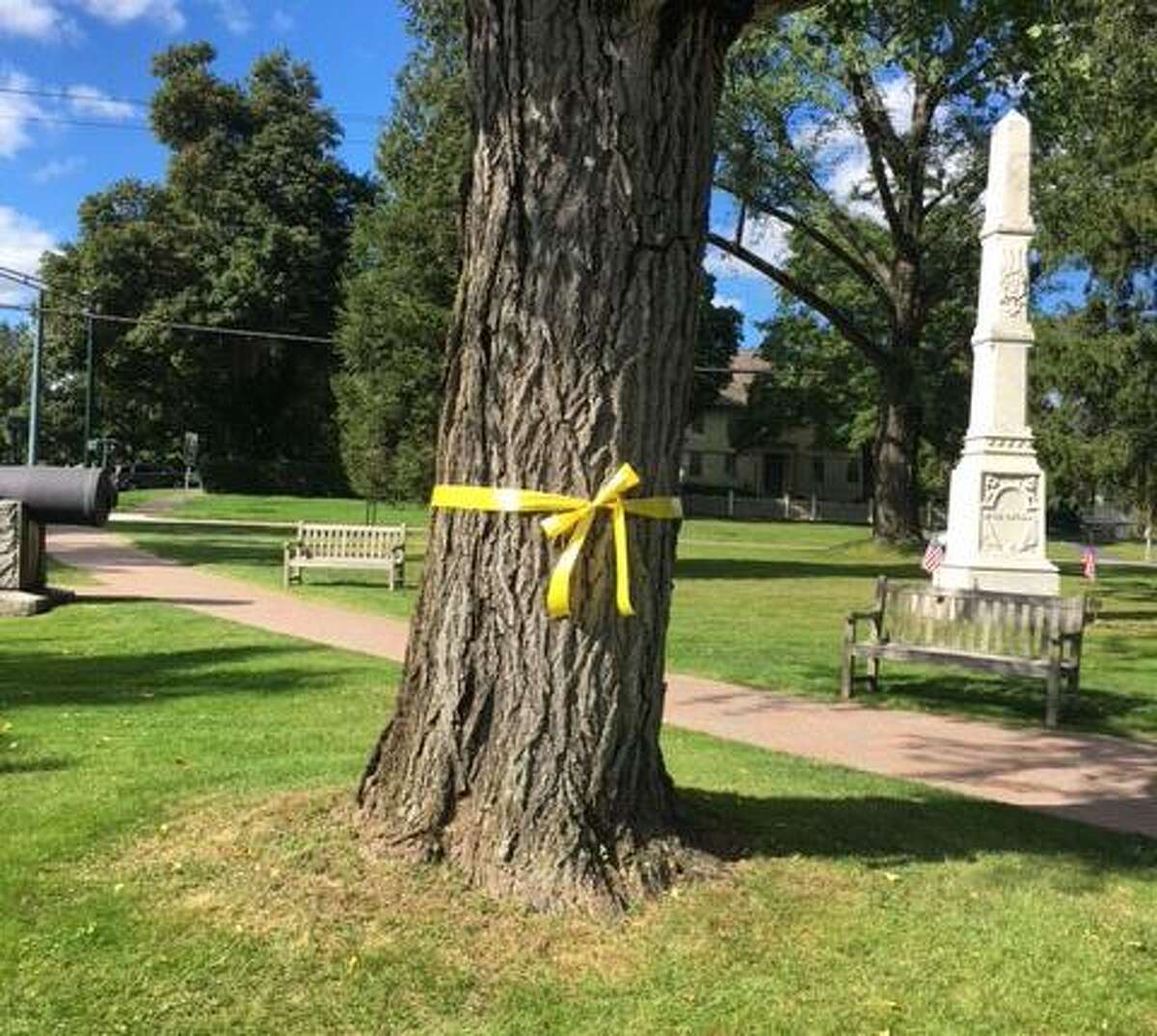 Why is Litchfield removing ribbons honoring military? Attorney to explain.