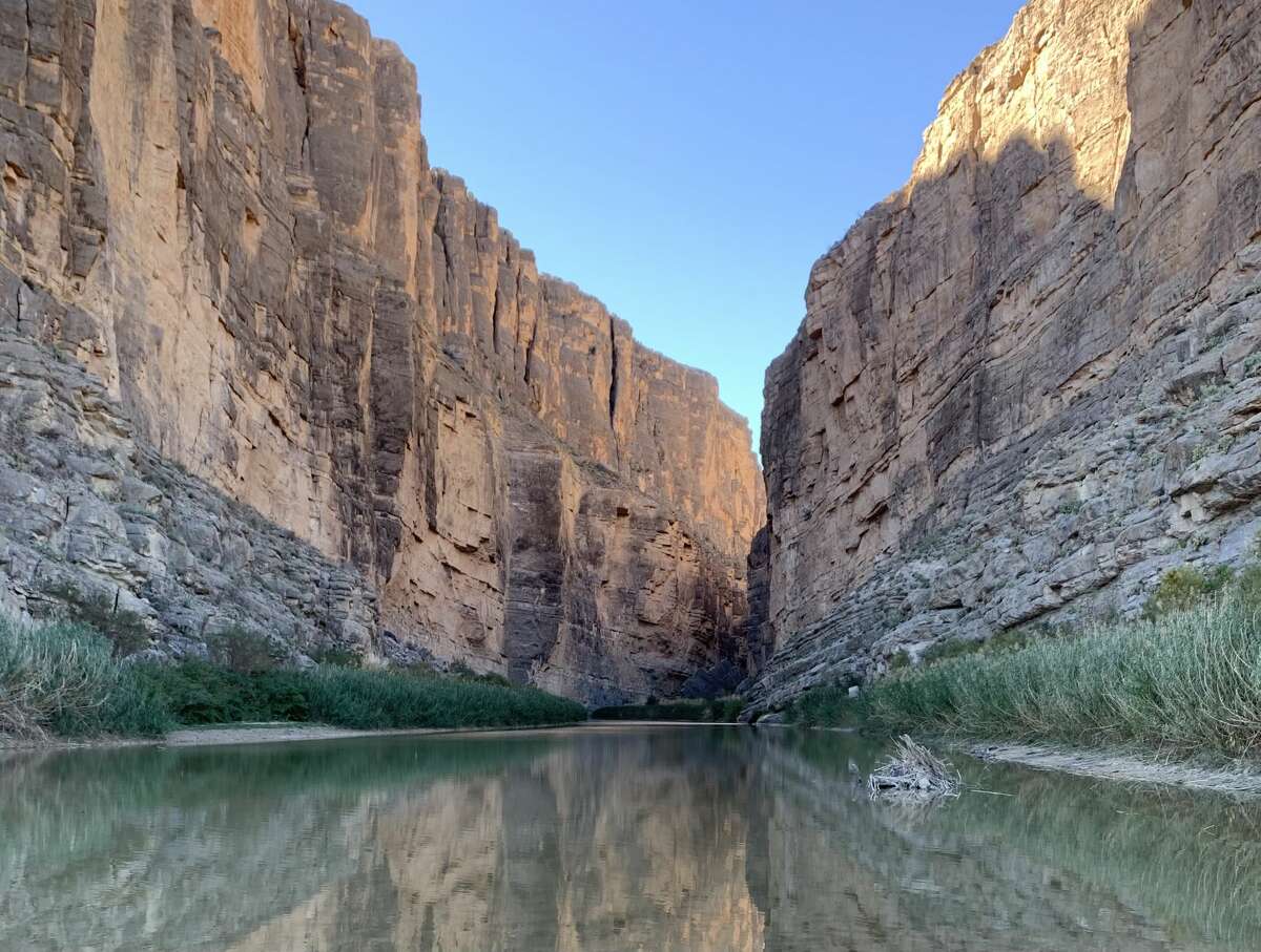 are dogs allowed in big bend national park texas