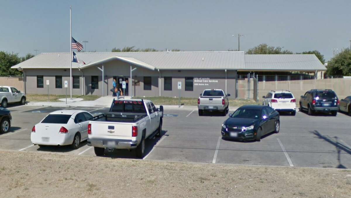 Pictured is Laredo Animal Care Services at 5202 Maher Ave.