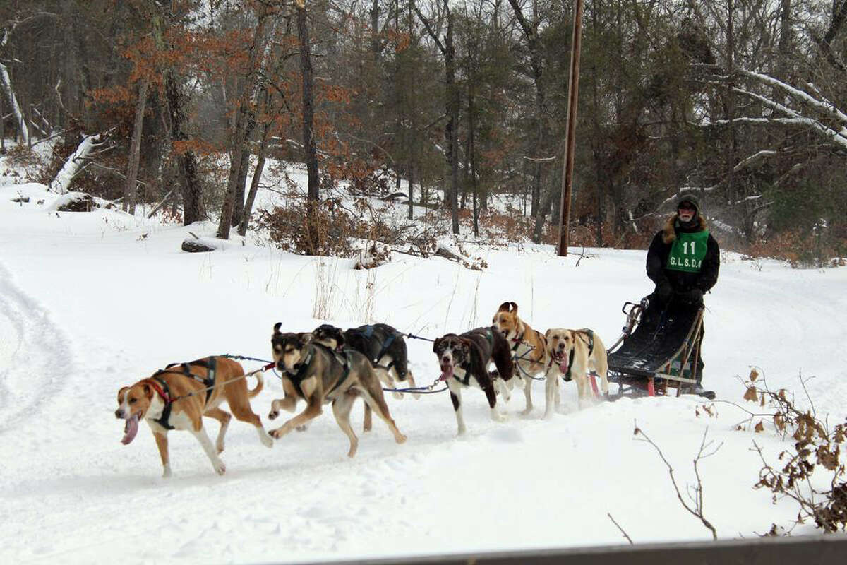 The sled dog sponsor race in Baldwin on Friday, kicks off a weekend of racing in the scenic area of Stearns Siding, west of Baldwin. 