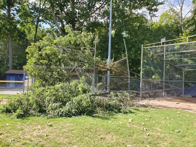 Wilton Little League raising funds to create 'first-class baseball facility' in town - Vimarsana News