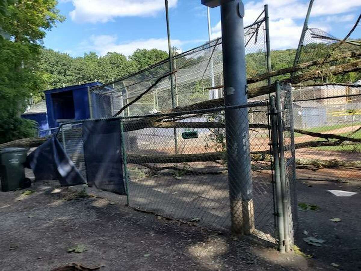 Wilton Little League raising funds to create ‘firstclass baseball