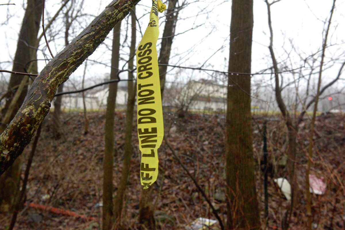 State Wildlife Management Area behind the Putnam Diner in Patterson, N.Y., where LaelCira DeLima’s remains were found by a hunter in February 2020. The diner parking lot was the location where DeLima’s car was found in November 2017.