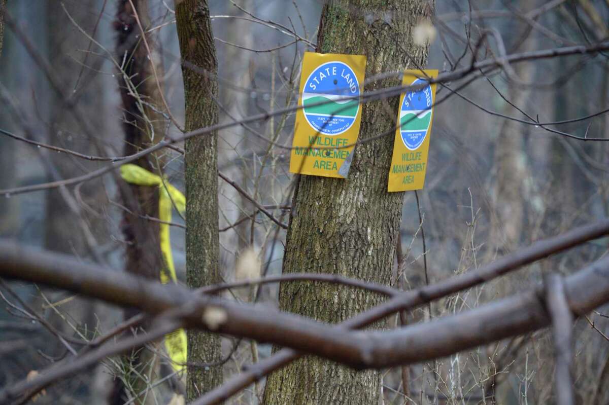 State Wildlife Management Area behind the Putnam Diner in Patterson, N.Y., where LaelCira DeLima’s remains were found by a hunter in February 2020. The diner parking lot was the location where DeLima’s car was found in November 2017.