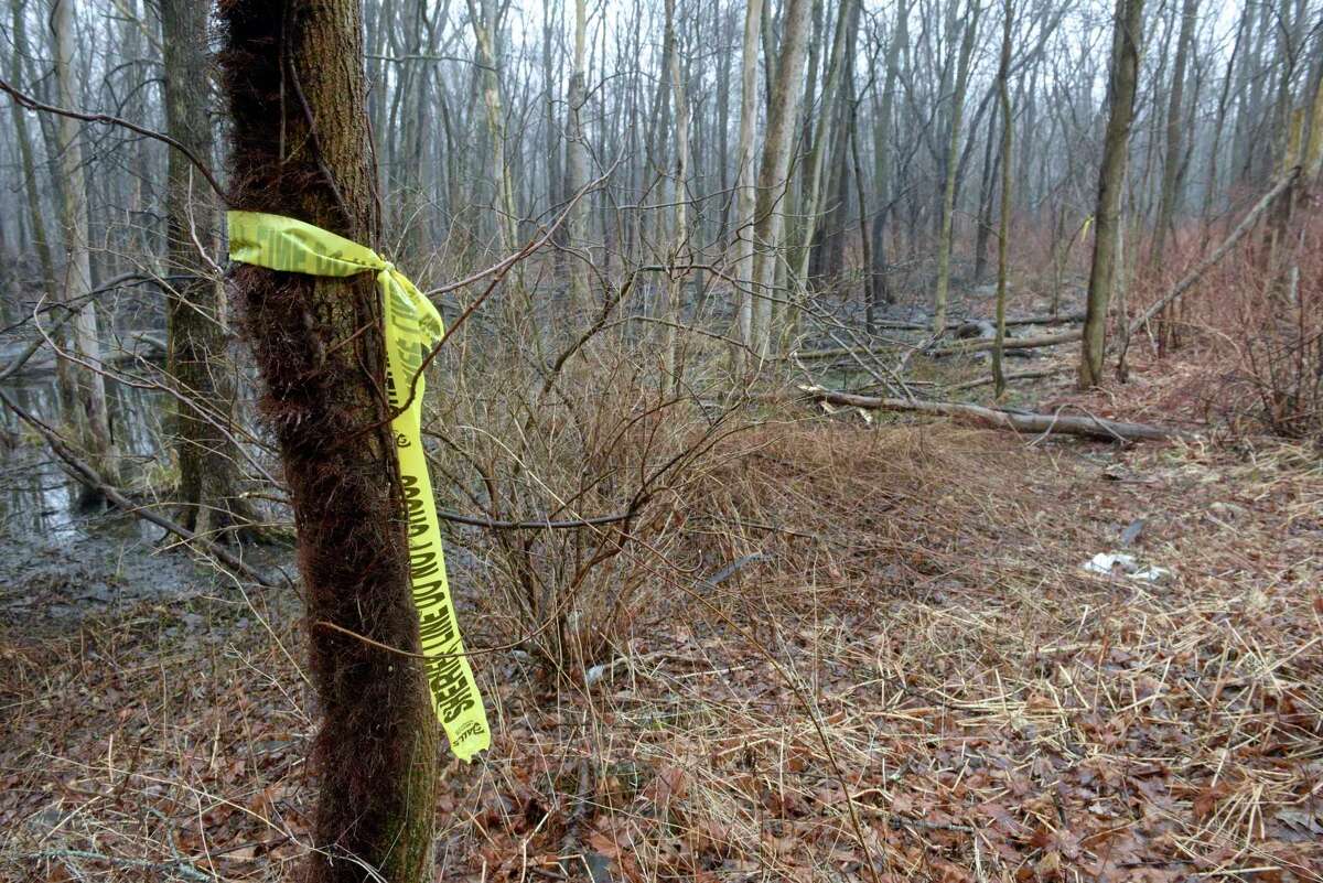 Torn sheriff’s tape in the wooded area behind the Putnam Diner in Patterson, N.Y., where LaelCira DeLima’s remains were found by a hunter in February 2020. The diner parking lot was the location where DeLima’s car was found in November 2017.