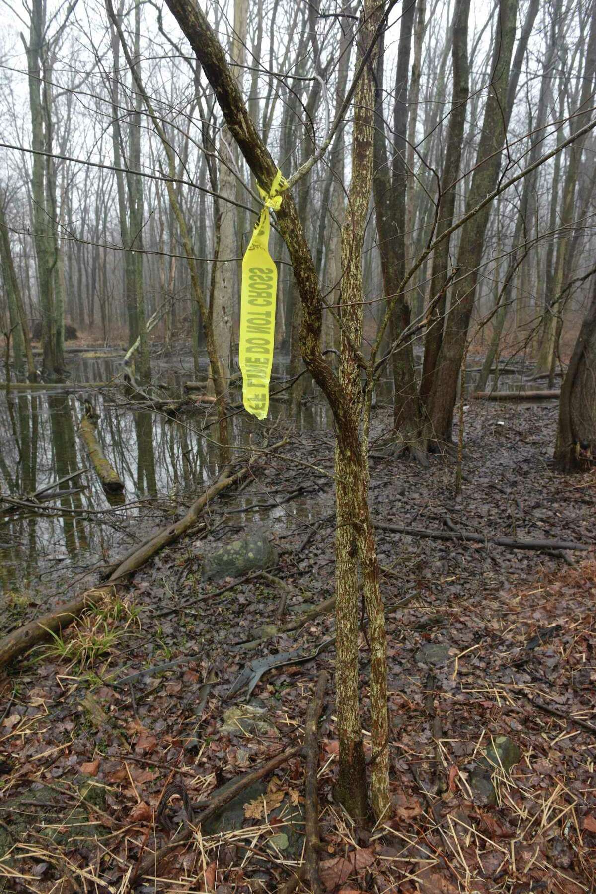 The wooded area behind the Putnam Diner Restaurant, in Patterson, NY, where human remains were found by a hunter on February 1st of this year. The diner parking lot was the location where a missing Danbury woman's car was found two years ago. Tuesday, February 11, 2020, in Patterson, NY.