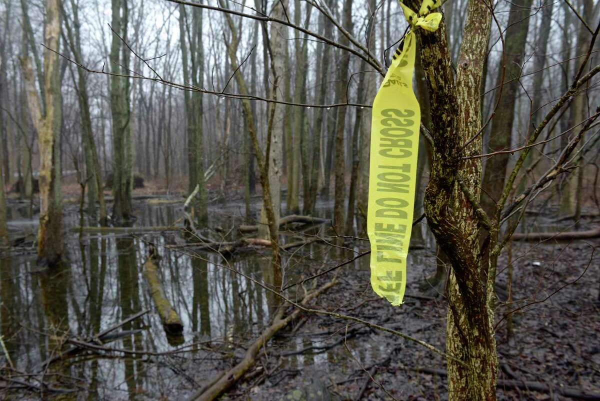 Torn sheriff’s tape in the wooded area behind the Putnam Diner in Patterson, N.Y., where LaelCira DeLima’s remains were found by a hunter in February 2020. The diner parking lot was the location where DeLima’s car was found in November 2017.