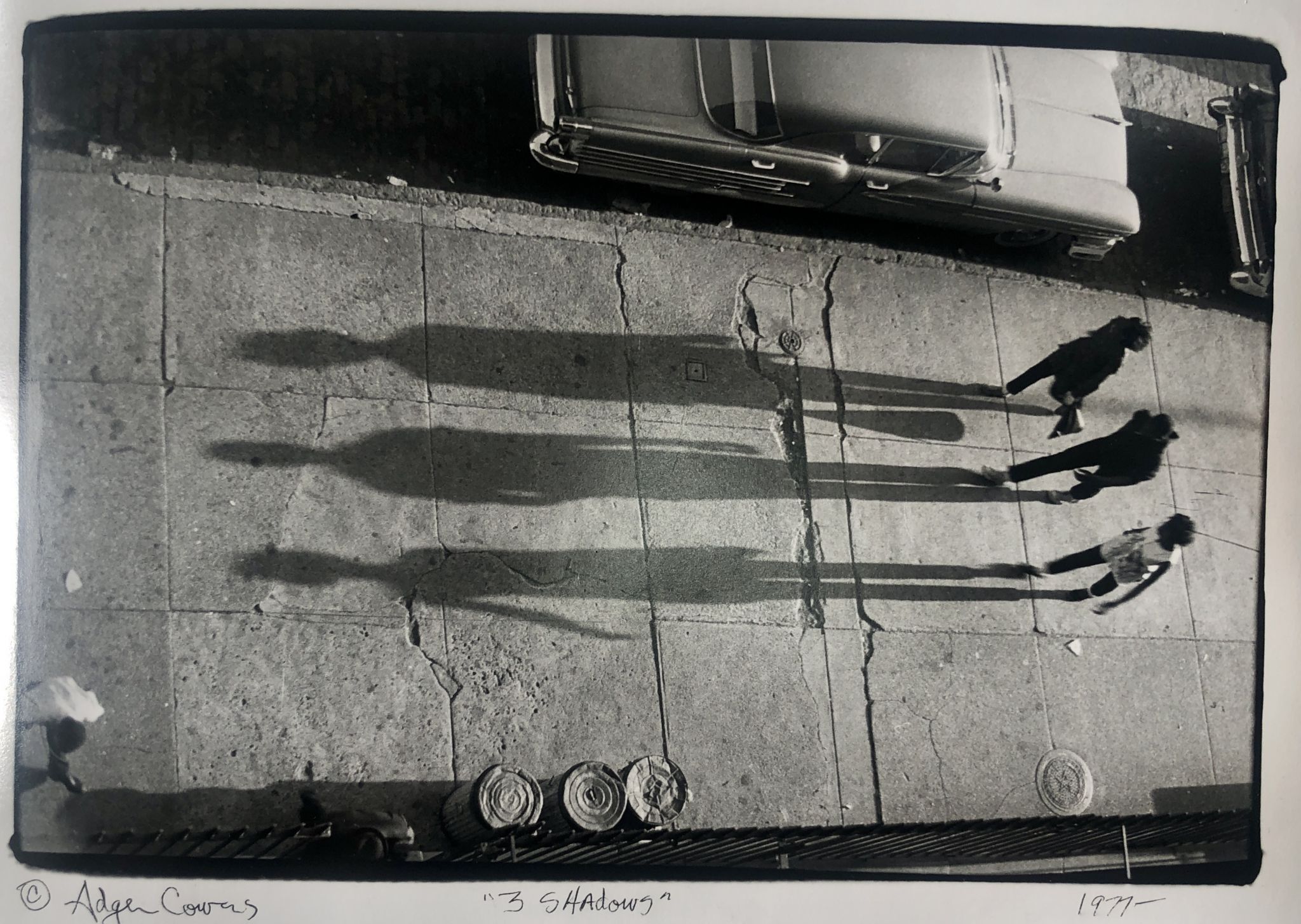 Public art exhibit 'The Westport Idea' to open at MoCA - Vimarsana News