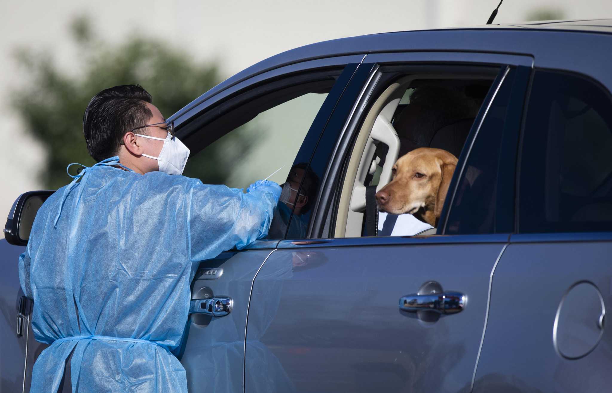 COVID Help Desk After testing positive, how do I treat mild symptoms