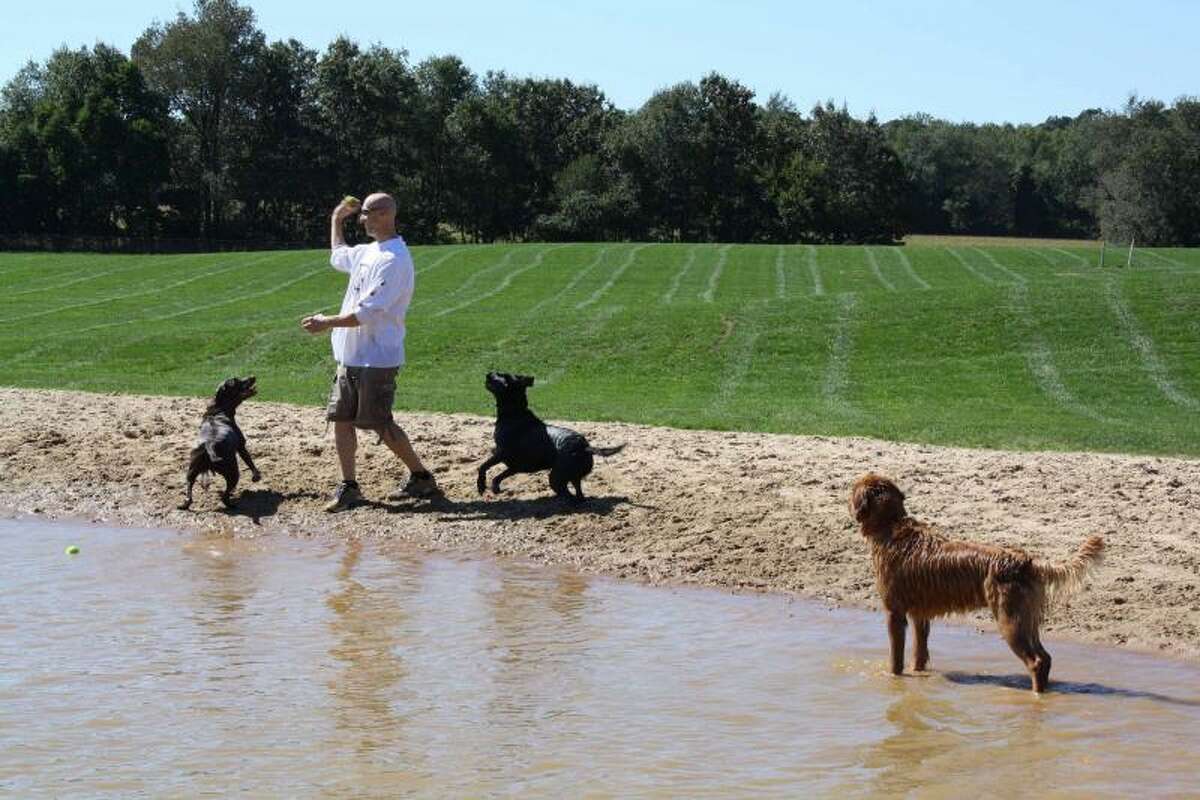 Port Austin resident Judy Beam has proposed that a dog park be established in the village. She used Meadow Run Park in Kalamazoo, pictured here, as an example of some features to have.