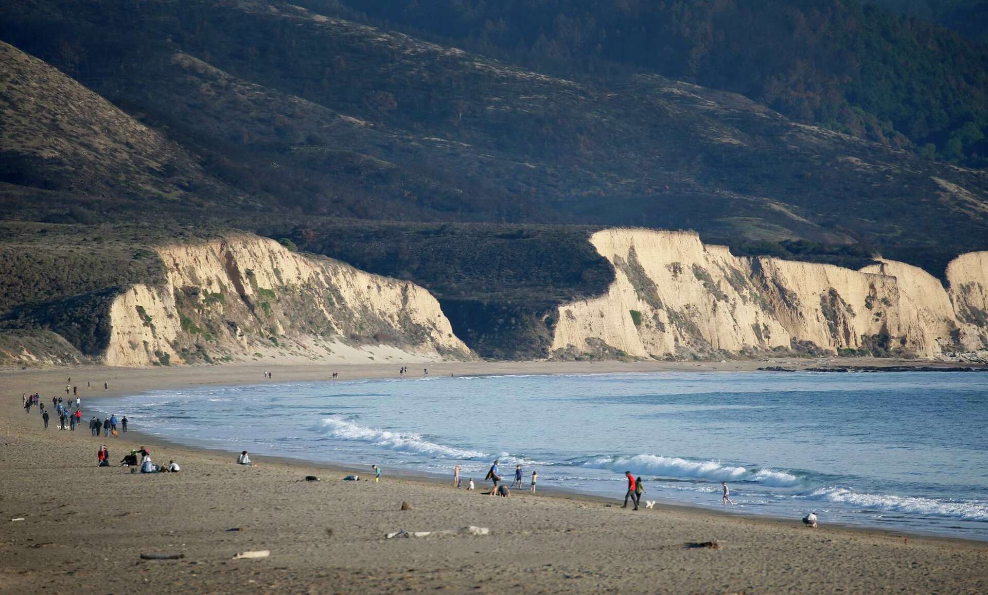 Environmentalists sue Point Reyes National Seashore over cattle ranches