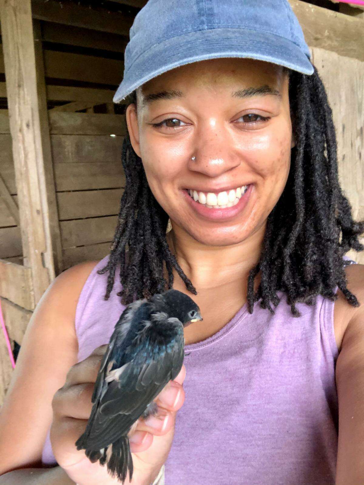 Birds and baseball II - Connecticut Audubon Society