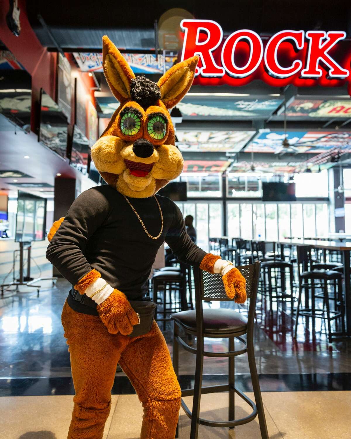 The Coyote paying homage to The Rock. 