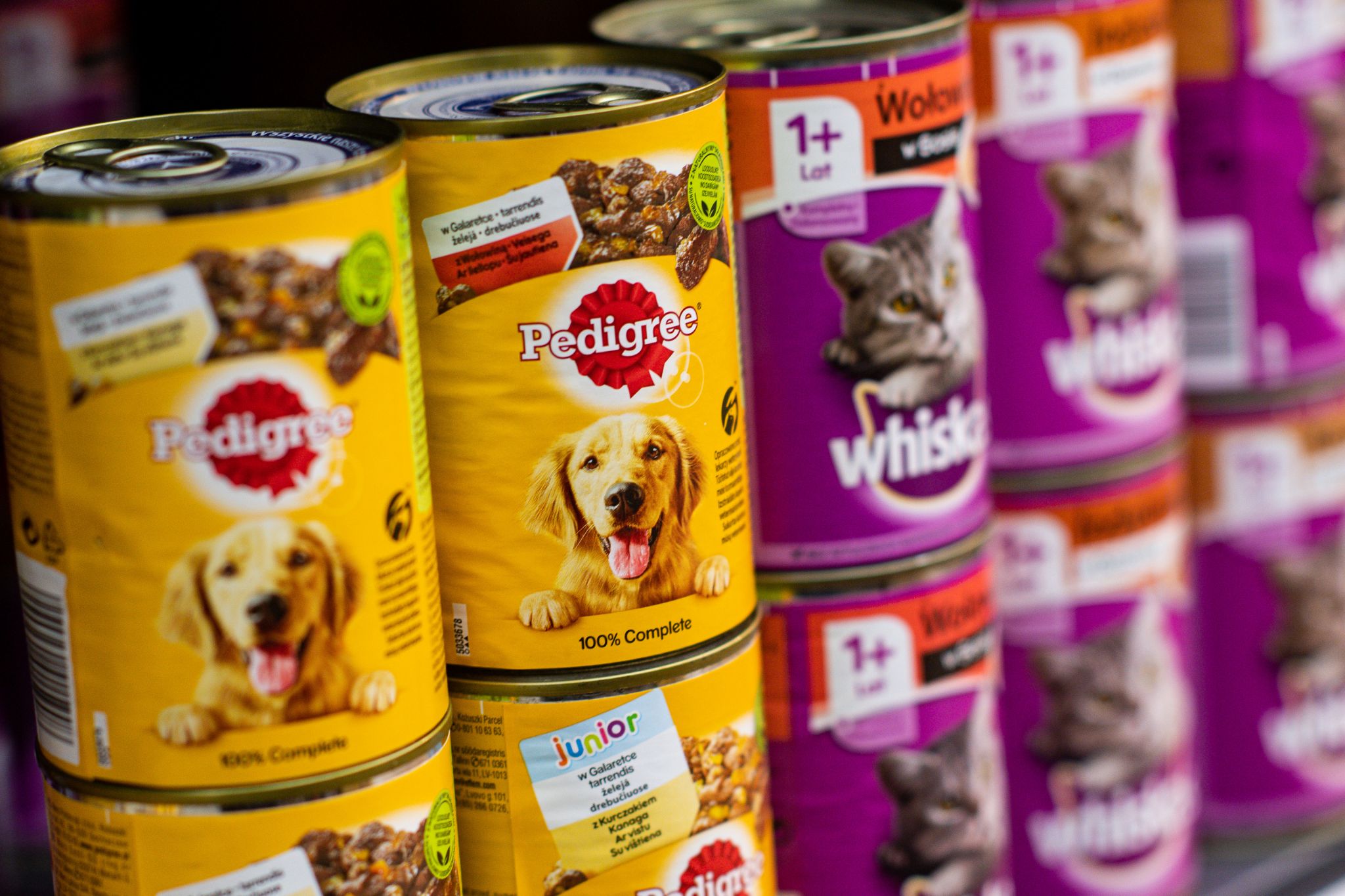 Pet food in short supply as pandemic-related shortages impact Connecticut - Vimarsana News