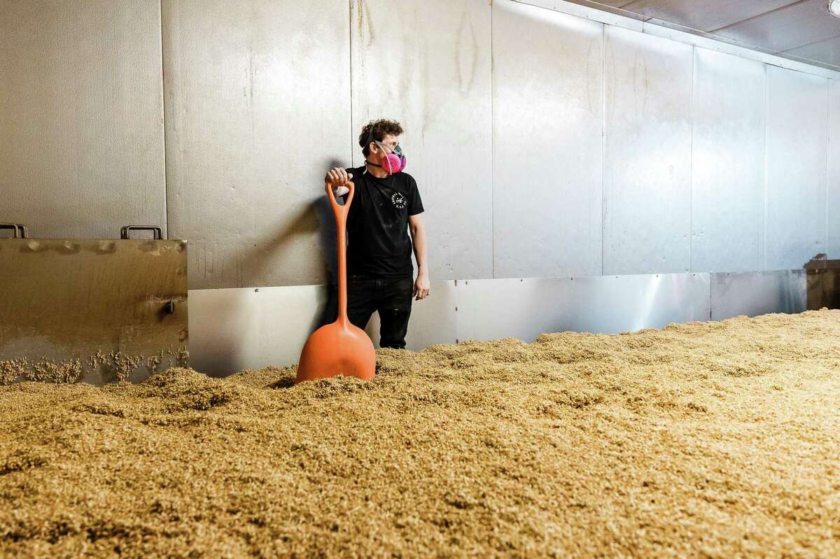 Chris Lucas pauses pushing the dried barley in the grain kiln to the auger for bagging at Admiral Maltings in Alameda.