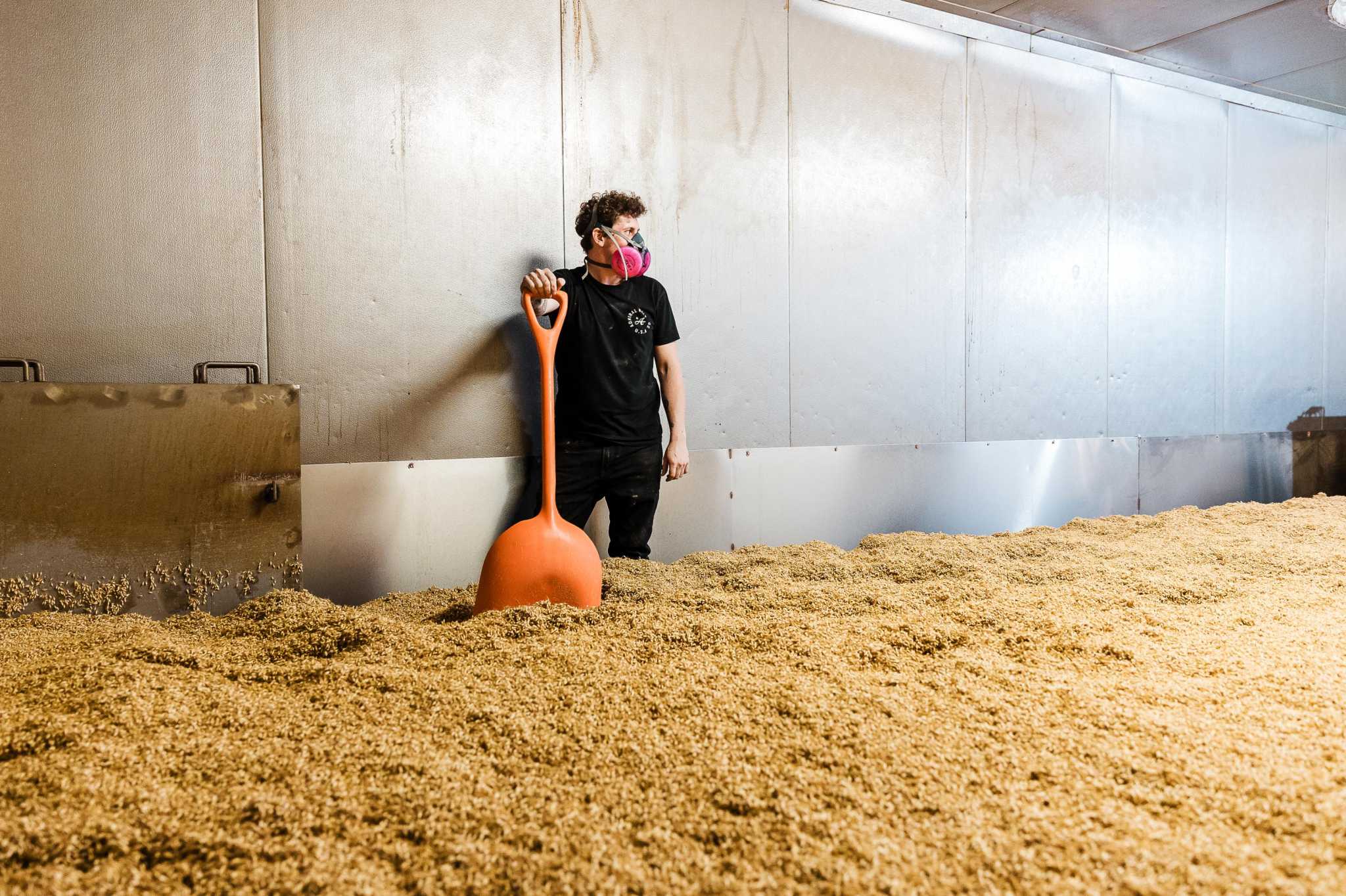 Bay Area beer prices may rise soon due to a drought-induced barley shortage - Vimarsana News