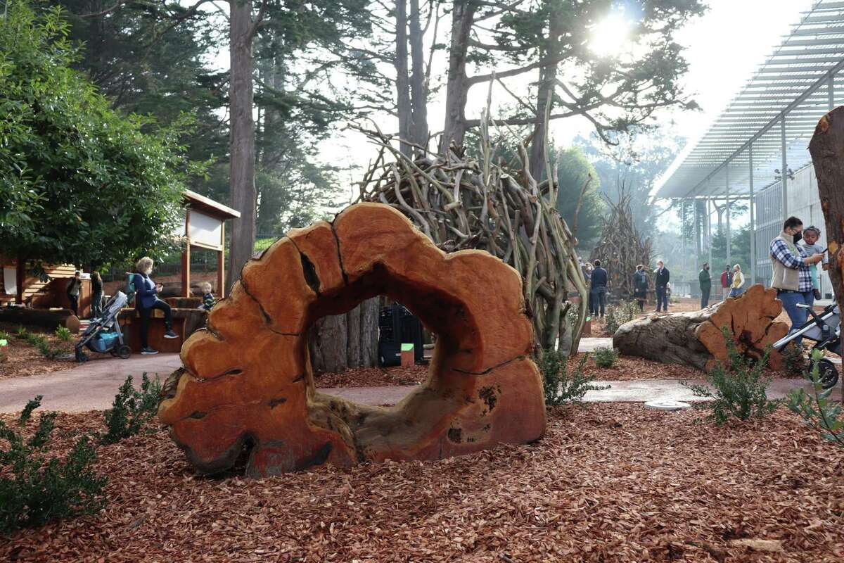 The new Wander Woods play space at the California Academy of Sciences also features an outdoor classroom for kids.
