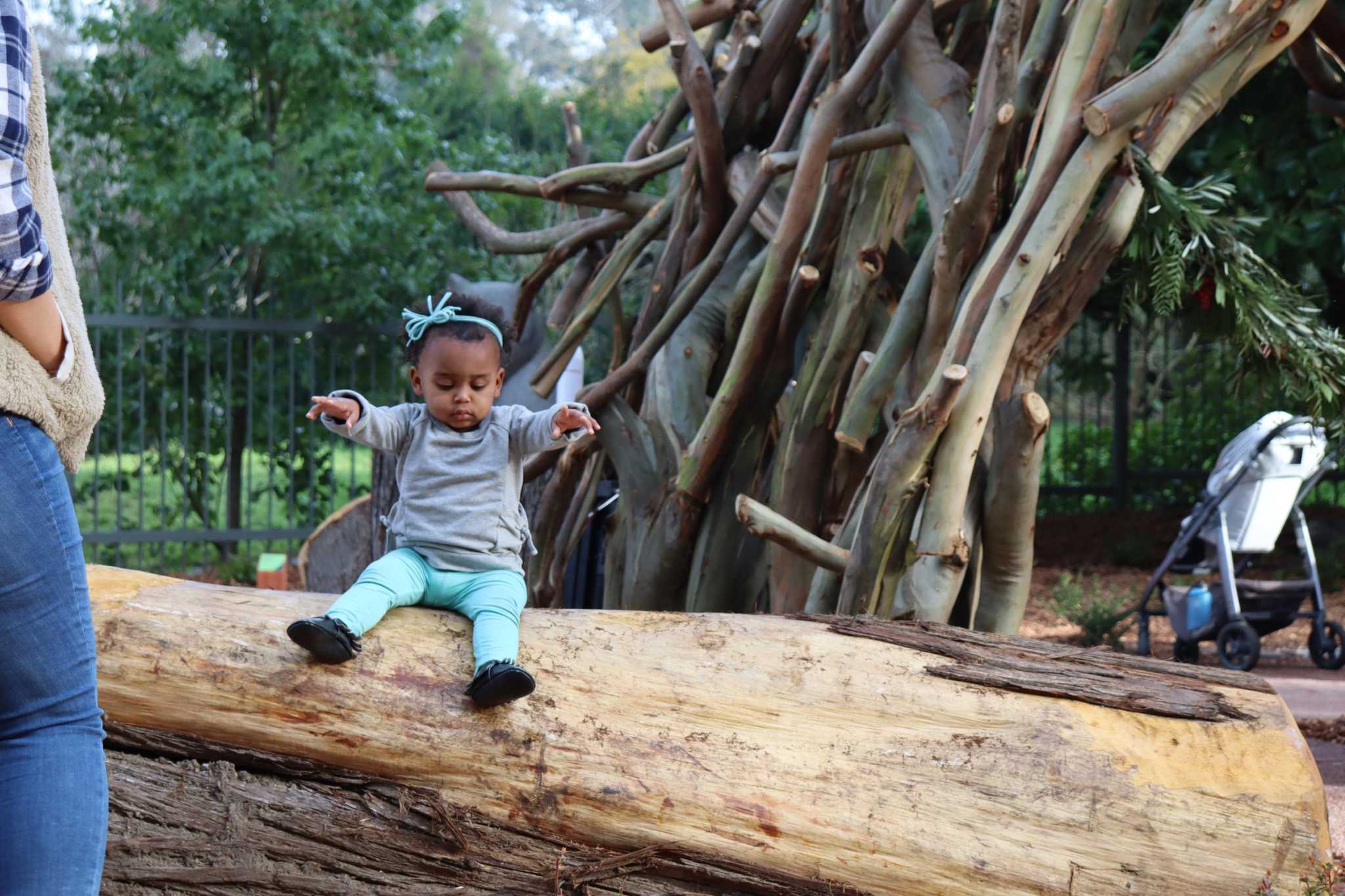 California Academy of Sciences debuts new outdoor play space connecting kids to nature - Vimarsana News