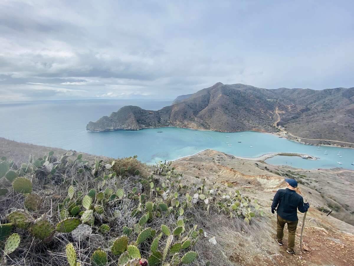 A view of Catalina Harbor from the Ballast Point trail.
