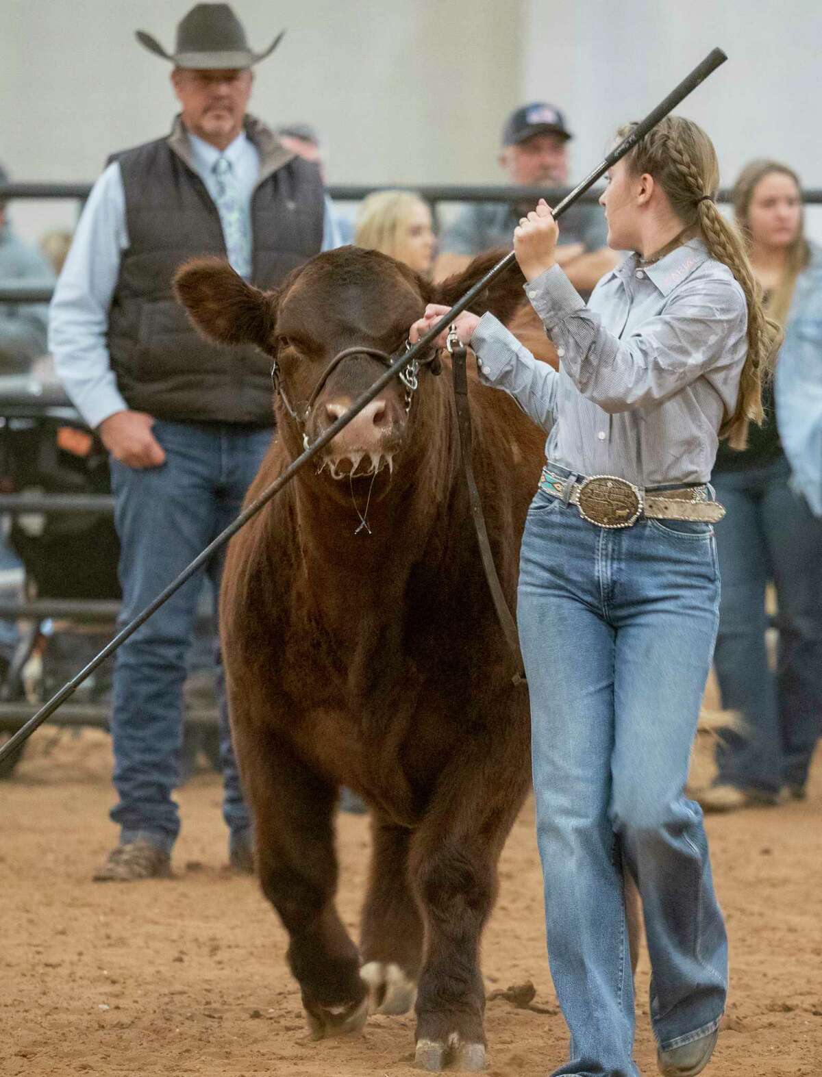 Area FFA youth show off years of work with their steers 01/14/2022 during the Midland County Livestock Association Show at the Midland County Arena. Tim Fischer/Reporter-Telegram