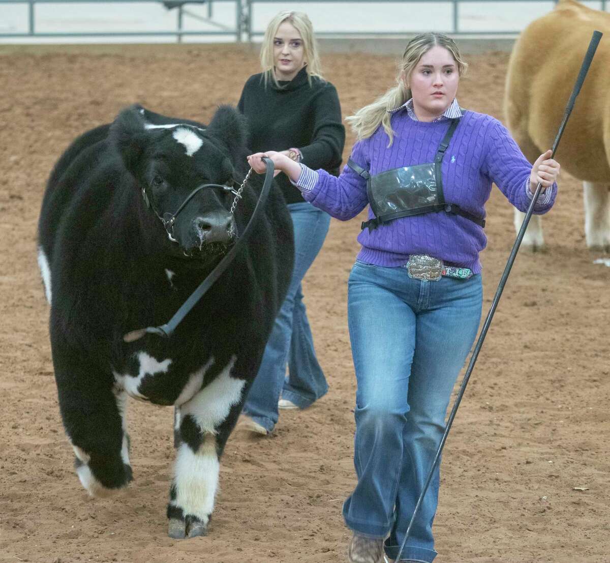 Tatum Bales presents her Grand Champion cross breed steer as she and other area FFA youth show off years of work with their steers 01/14/2022 during the Midland County Livestock Association Show at the Midland County Arena. Tim Fischer/Reporter-Telegram