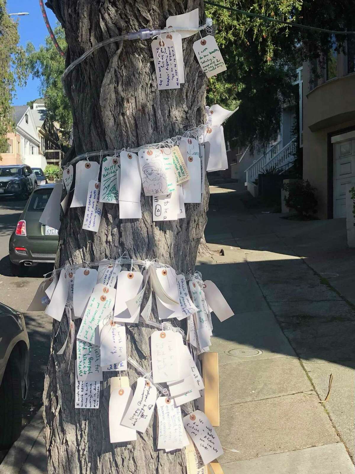 The wishing tree on Eugenia Street in Bernal Heights is festooned with notes.