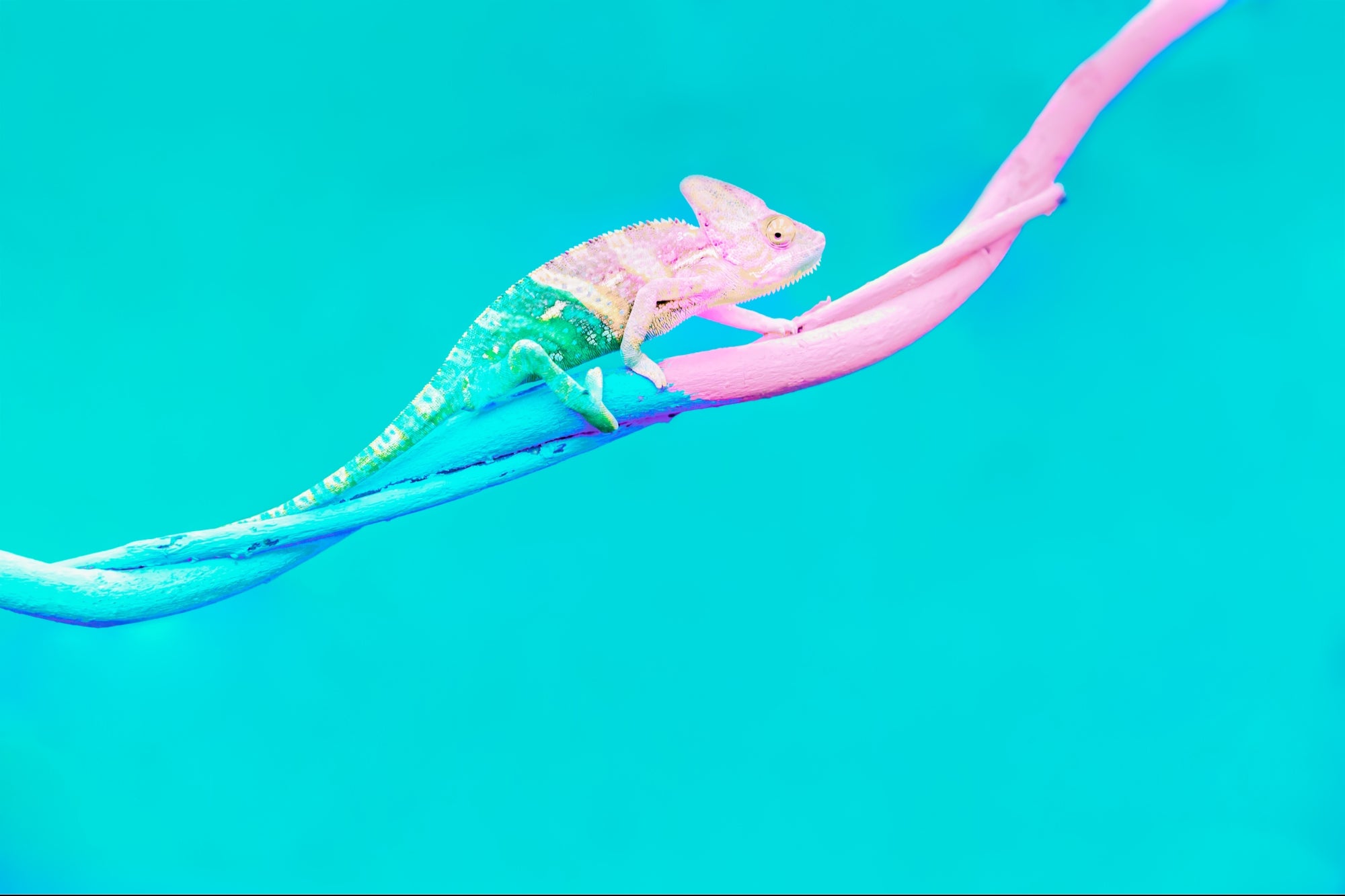 Embrace the Unknown to Transform Your Life - Vimarsana News