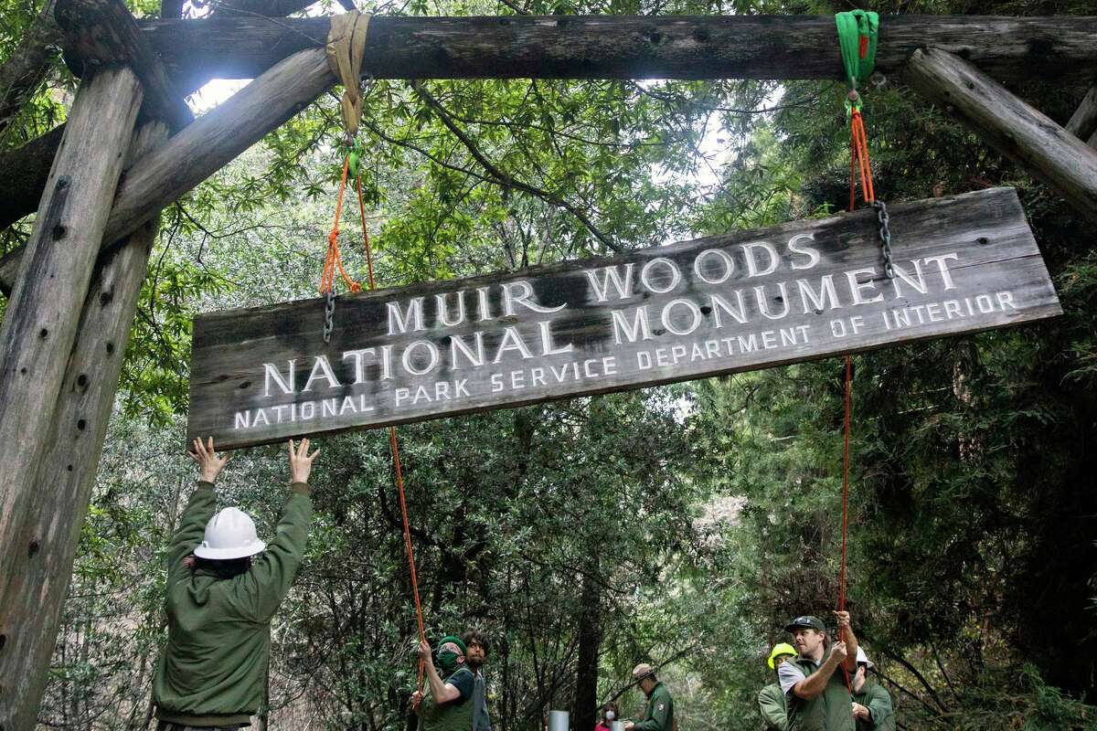 Trail crew member Rudy Gustafson (right) works to lift the iconic Muir Woods welcome sign above a newly renovated Redwood boardwalk at Muir Woods National Monument in Mill Valley. Muir Woods National Monument is undergoing its first renovation since it opened in 1937, with upgrades to trails, water systems and creek maintenance to improve conditions for spawning salmon.