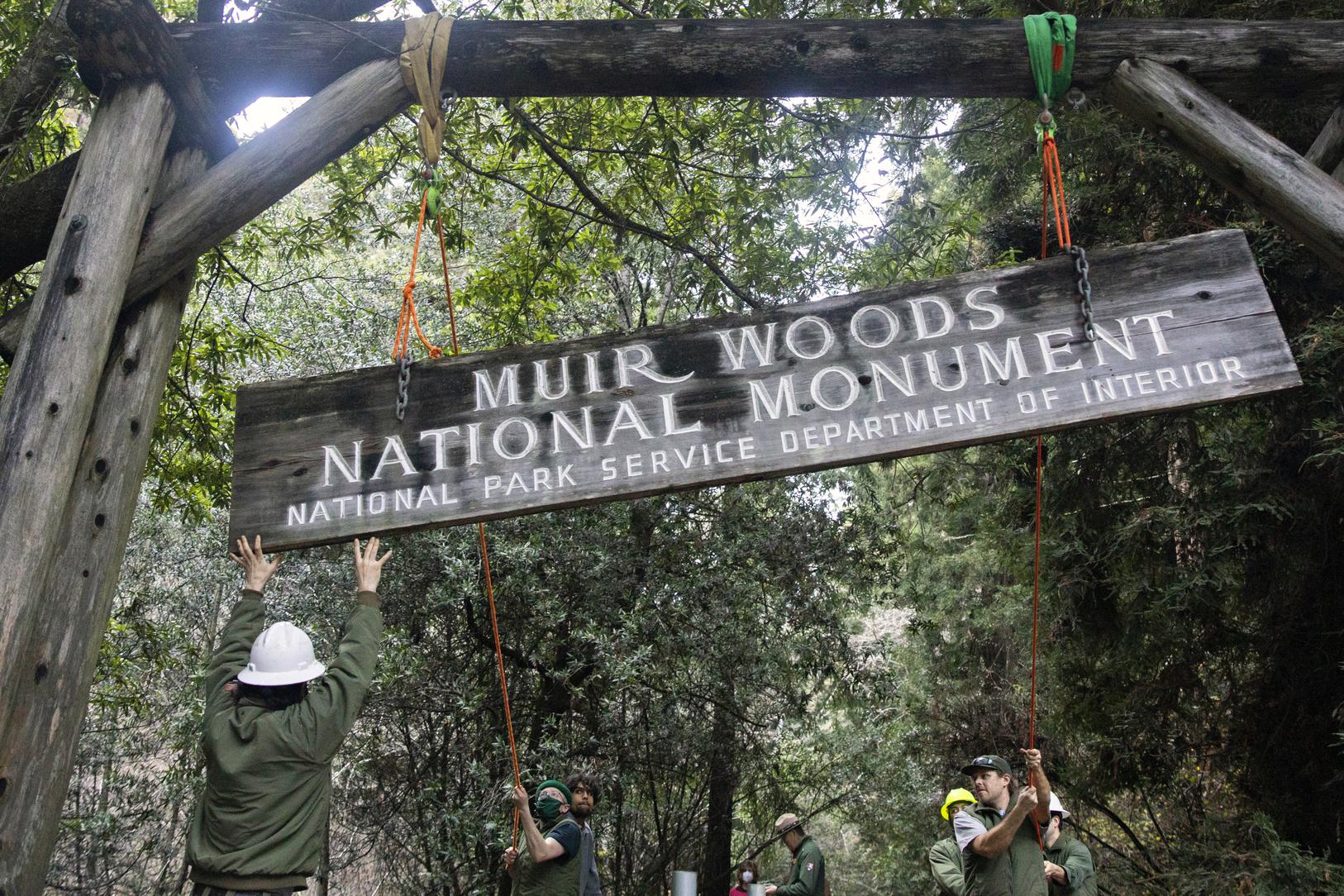 Muir Woods is getting a 20 million restoration. Here’s the most