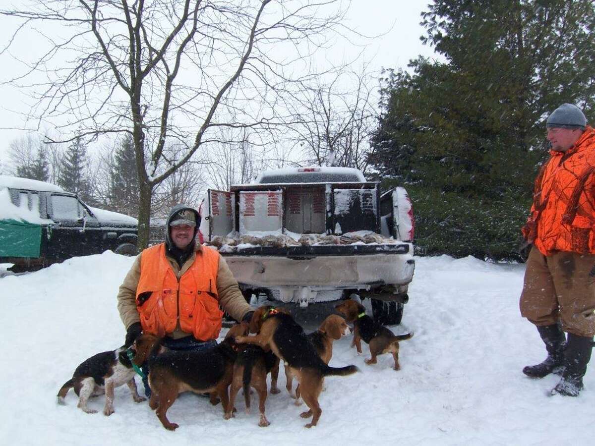   A pack of happy beagles and a tailgate covered with cottontails mean a great day in the wintertime outdoors.