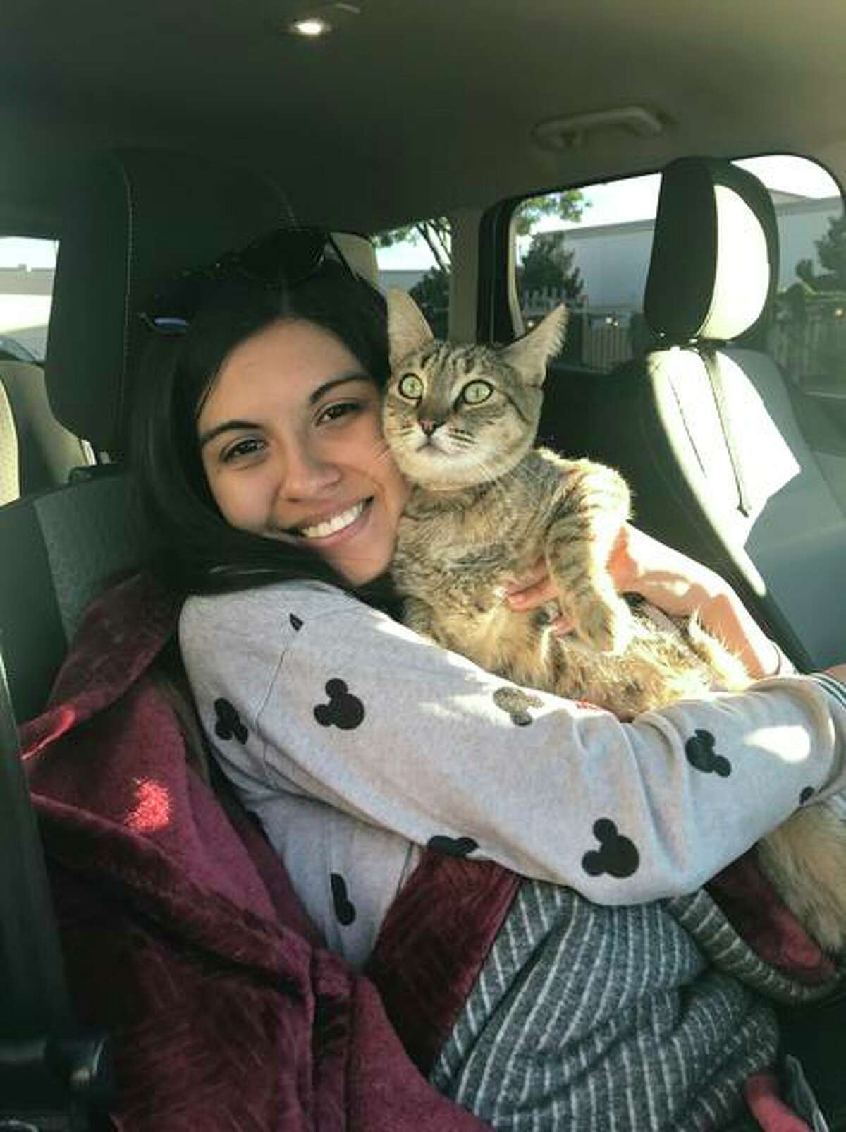 Minnelusa, a cat stolen last month, is back with Karla Cardoso and her husband.
