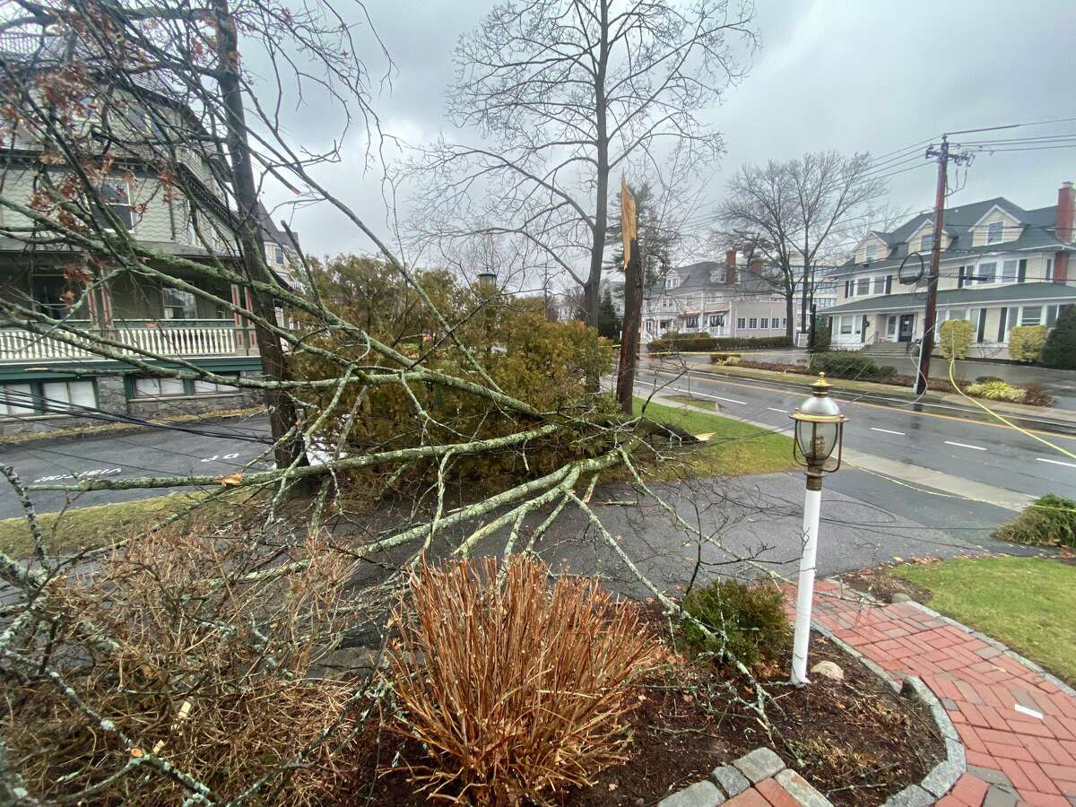 Field Point Avenue in Greenwich, Conn. was closed for a period of time on Jan. 17, 2022 after a tree fell on power lines during a winter storm. 